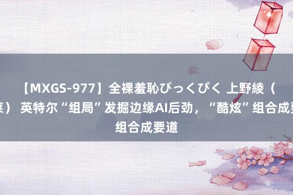 【MXGS-977】全裸羞恥ぴっくぴく 上野綾（雪菜） 英特尔“组局”发掘边缘AI后劲，“酷炫”组合成要道