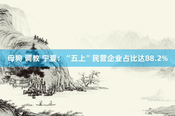 母狗 调教 宁夏：“五上”民营企业占比达88.2%