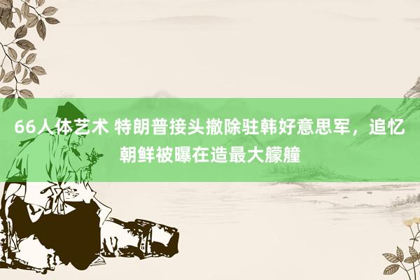 66人体艺术 特朗普接头撤除驻韩好意思军，追忆朝鲜被曝在造最大艨艟