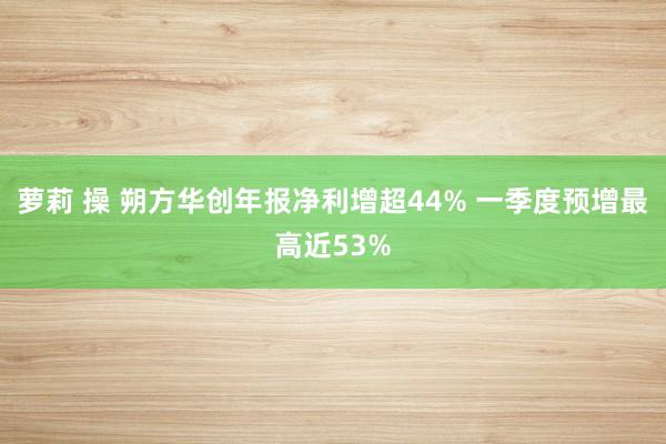 萝莉 操 朔方华创年报净利增超44% 一季度预增最高近53%