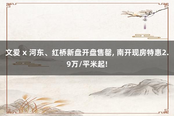 文爱 x 河东、红桥新盘开盘售罄， 南开现房特惠2.9万/平米起!